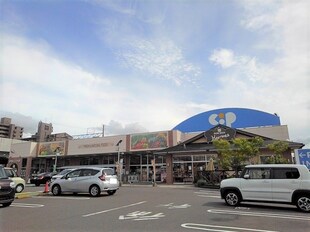 シェーンベルク土器　Ｆの物件内観写真